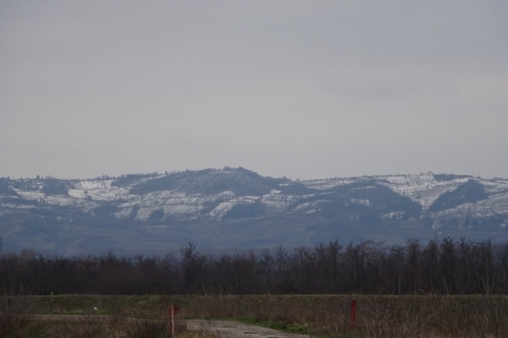 dsc05149.jpg