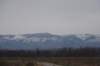 dsc05149_small.jpg
