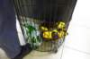 dsc05153_small.jpg