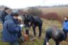 dsc05236_small.jpg
