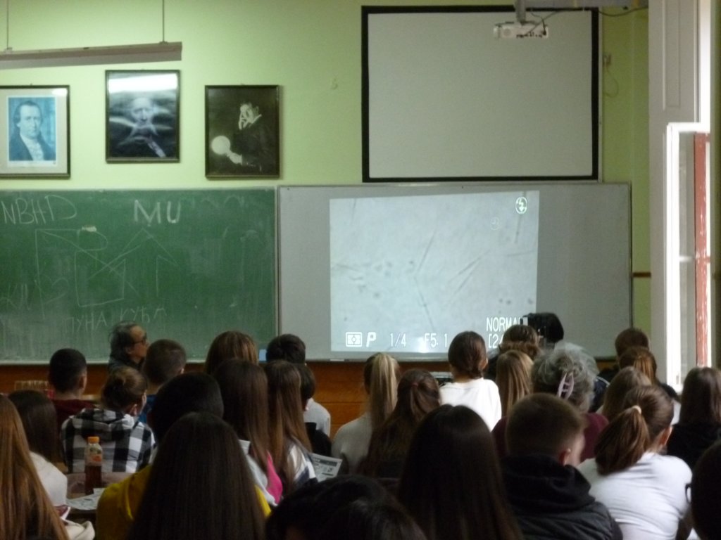 p1010320.jpg