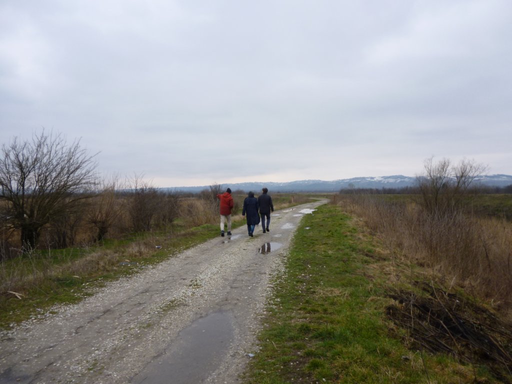 p1010335.jpg