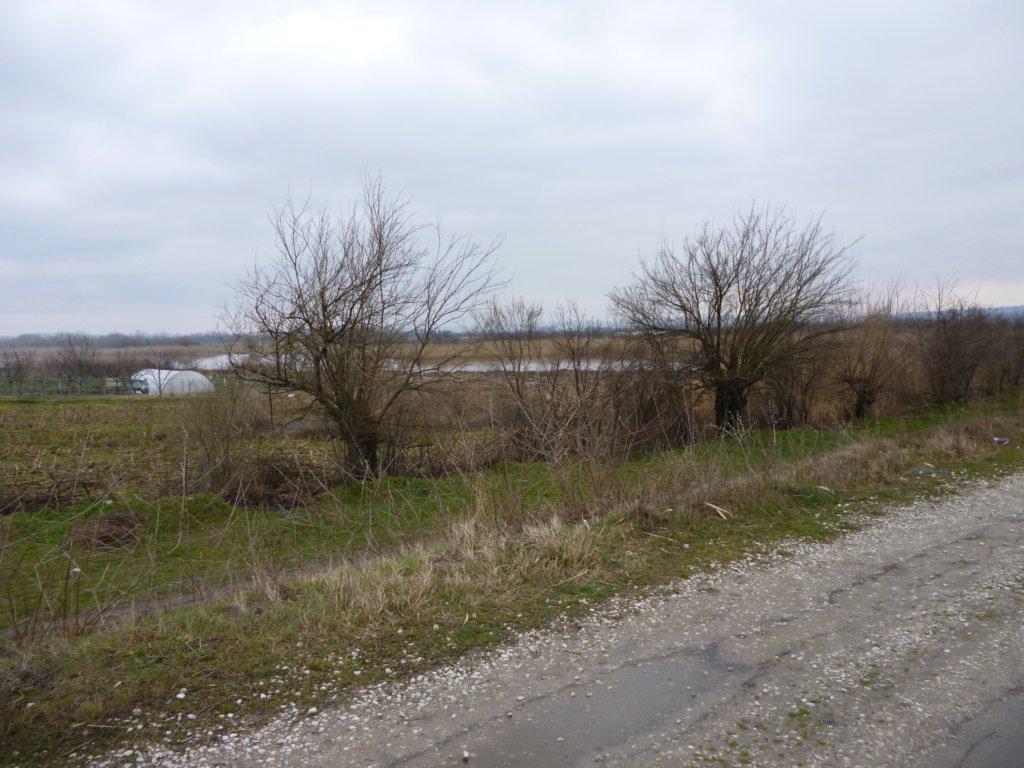 p1010337.jpg