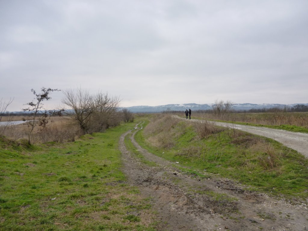 p1010340.jpg