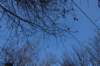 dsc04979_small.jpg