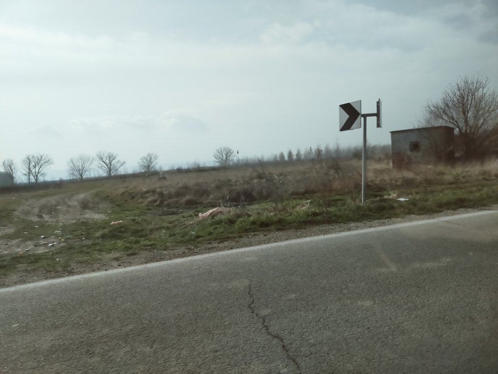 img20230224121940.jpg