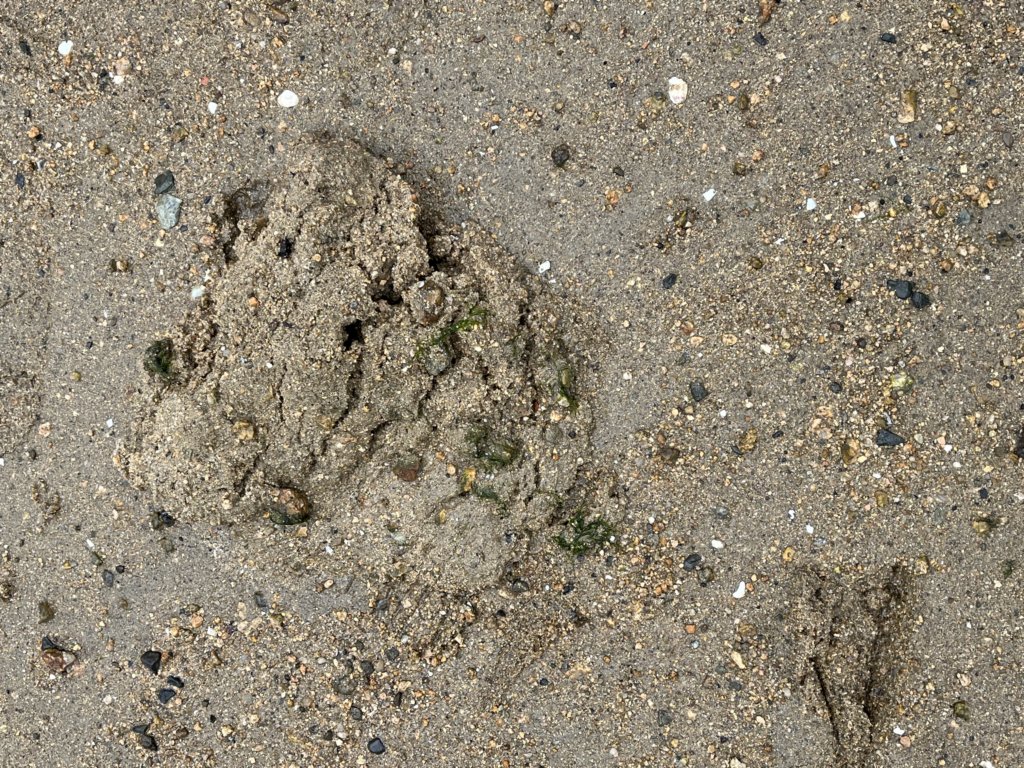 img_0791.jpg