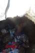 dsc06510_small.jpg