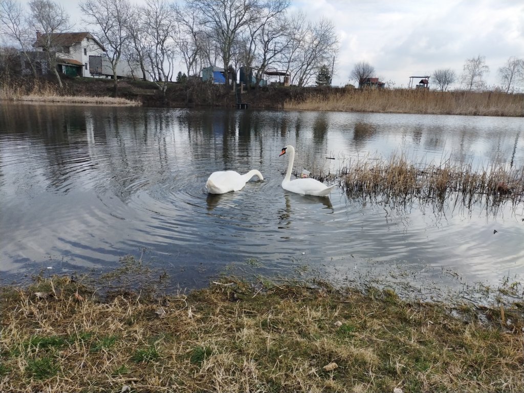 img20240220104232.jpg