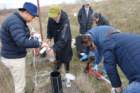 dsc06298_small.jpg