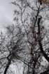 dsc06332_small.jpg