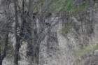 dsc06357_small.jpg