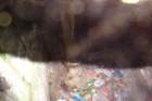 dsc06389_small.jpg