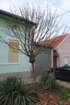 dsc06402_small.jpg