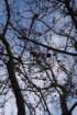 dsc06403_small.jpg
