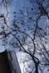 dsc06404_small.jpg