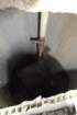 dsc06409_small.jpg
