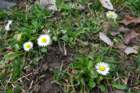 dsc06414_small.jpg