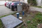 dsc06424_small.jpg