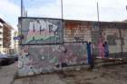 dsc06437_small.jpg