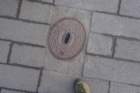 dsc06444_small.jpg