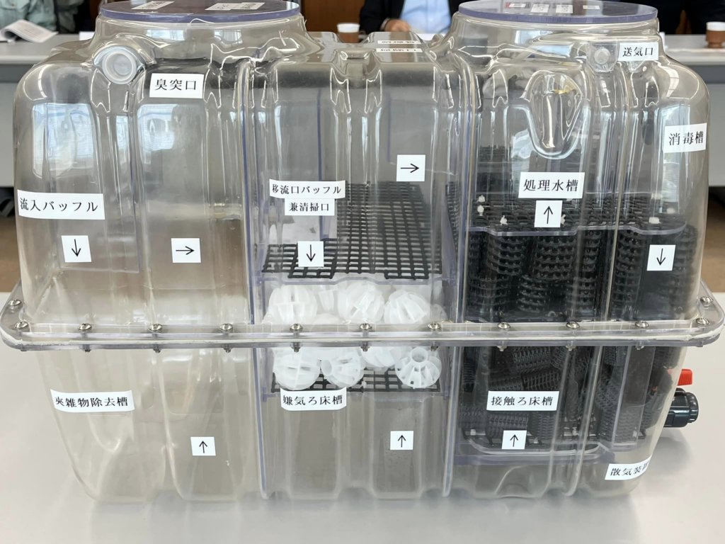 photo10.jpg