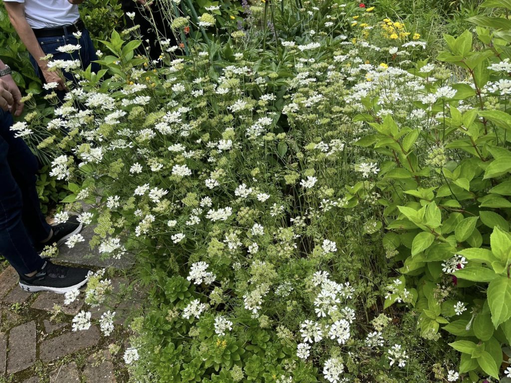 photo4.jpg